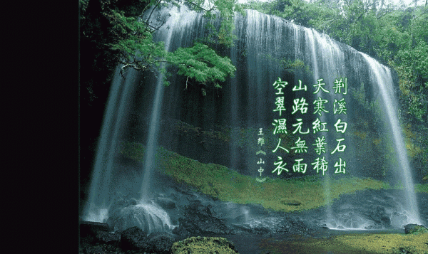 李清雾全文免费阅读（孤烟厌弃小说）全文在线李清雾读无弹窗大结局_（孤烟厌弃小说李清雾）孤烟厌弃小说最新章节列表（李清雾）