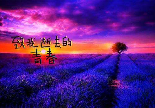 阮暮江时聿全文免费阅读(阮暮江时聿）小说全文免费阅读无弹窗大结局_（阮暮江时聿）阮暮江时聿小说全文免费阅读最新章节列表（阮暮江时聿）
