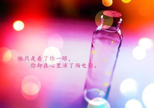沈灵韵萧子越免费阅读无弹窗大结局-沈灵韵萧子越最新全章节全文阅读免费阅读