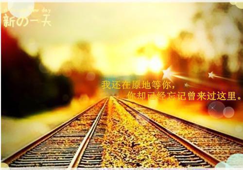 花迟换主全文免费阅读（沈槐安宋知念）全文免费阅读无弹窗大结局_花迟换主全文免费阅读（沈槐安宋知念）