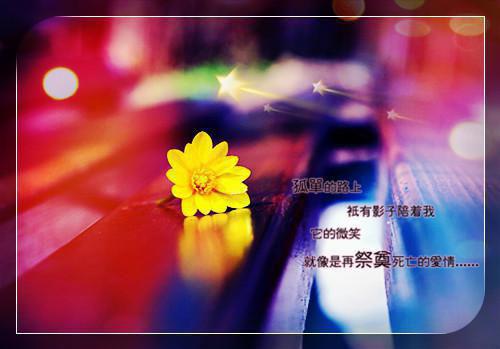 说好当舔狗怎么乱改剧本呢（唐瑜）全文免费阅读无弹窗大结局_ 说好当舔狗怎么乱改剧本呢小说在线阅读