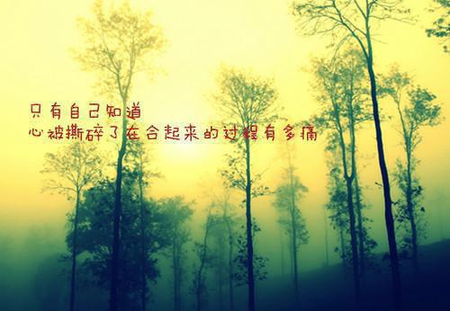 小云周平小说叫什么名字 小云周平全文免费阅读