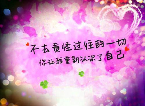 完结版小说宝宝只想安静长大第1章阅读