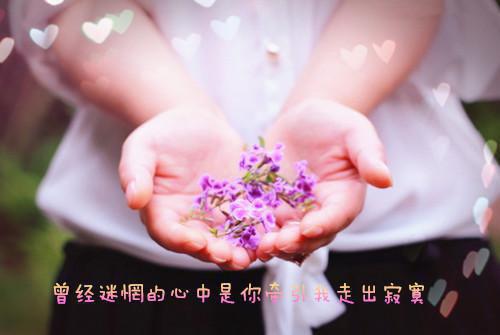 宴楠书洛雅雅热文完结（洛雅雅宴楠书后续）全本完整版小说阅读_宴楠书洛雅雅全本列表免费（洛雅雅宴楠书后续）