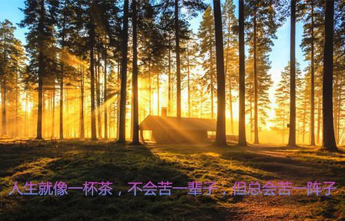 楚烨朝方黎热推（方黎楚烨朝）完整版小说阅读_楚烨朝方黎全文免费阅读（方黎楚烨朝）