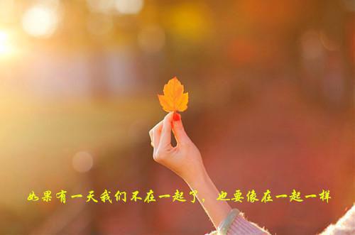 姜意晚祁祤小说（姜意晚祁祤小说）全文免费阅读无弹窗大结局_姜意晚祁祤小说最新章节列表（姜意晚祁祤小说）