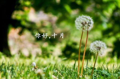 宋珠珠宋时薇温敛小说免费试读 宋珠珠宋时薇温敛第3章