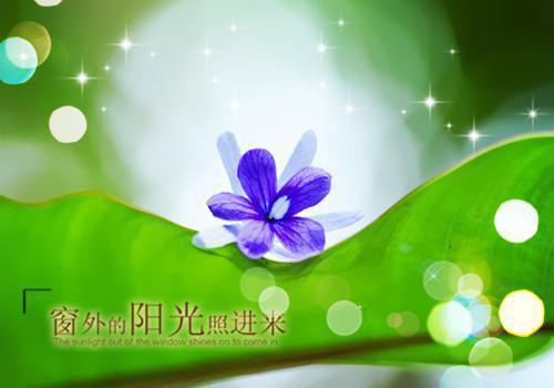 宋时娇霍近完结txt（霍近宋时娇）全文免费阅读无弹窗大结局_宋时娇霍近完结免费阅读最新章节列表（霍近宋时娇）