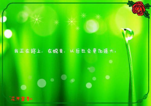 头帅气的猪的小说娱乐：摆烂卖水果，竟成了大明星方浩江晓晴全文阅读
