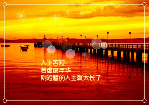 追妻火葬场？千岁大人不同意全集小说（叶晚棠裴渡）热门全文免费阅读已完结_追妻火葬场？千岁大人不同意最新章节列表（叶晚棠裴渡）