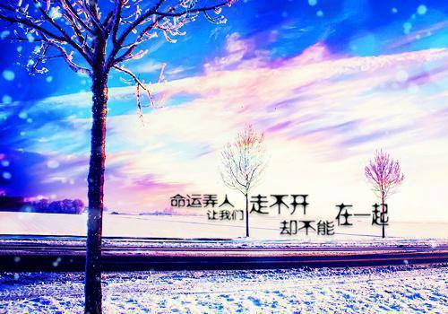 我在表白墙后台收到了别人给我男朋友的告白 知乎小说《墙墙是我》向以蓝蒋川鸣免费阅读