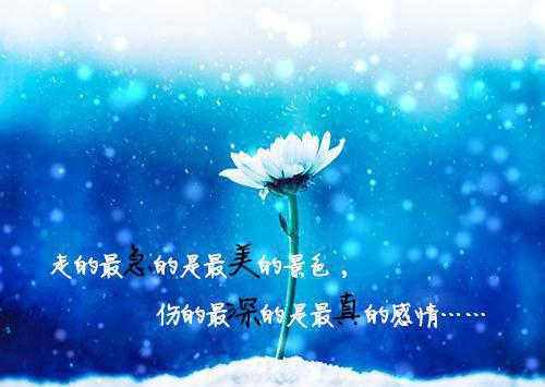 尹玥华关云霄小说最新（尹玥华关云霄）全文免费阅读无弹窗大结局_(尹玥华关云霄小说)最新章节列表（尹玥华关云霄）