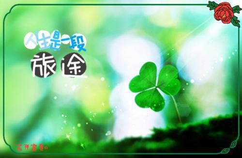 先婚后爱：京圈权贵夜夜蓄意撩惹新上（姜雪笙谢渊）最新推荐_最新推荐先婚后爱：京圈权贵夜夜蓄意撩惹新上（姜雪笙谢渊）