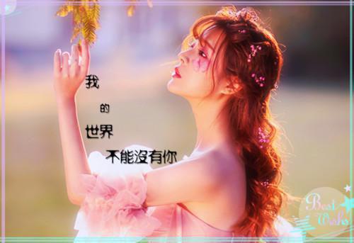 陆晔辰叶依依沈清婉免费阅读小说 陆晔辰叶依依沈清婉第1章