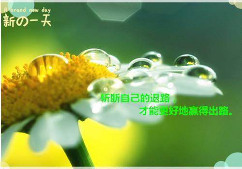 楠楠严飞诚小说全文阅读 楠楠严飞诚第一章