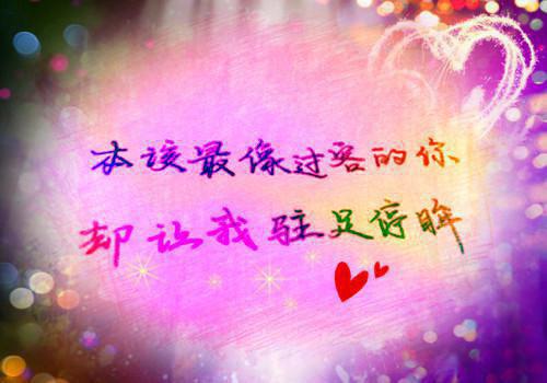 【完整版】重生表白失败,校花急了小说全文/全集/电子书/大结局（【完整版】重生表白失败,校花急了）周晨刘思颖阅读 耽美微周晨刘思颖