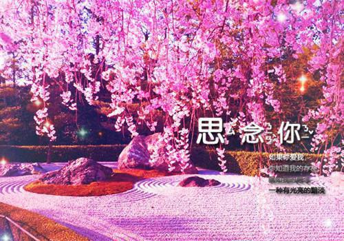 有一个精神病弟弟是种什么体验最新章节全文阅读 夏夏陆林纪风未删节小说