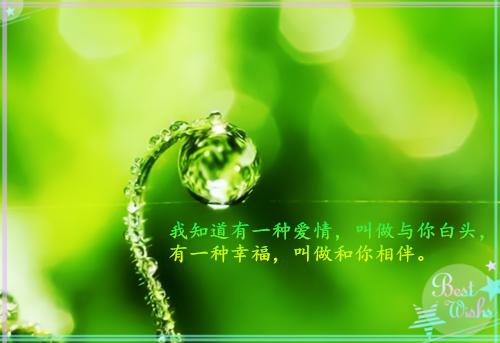 创作出彩都离婚了，我相亲你醋什么（常宁洛商司）全文浏览_创作出彩都离婚了，我相亲你醋什么全文浏览