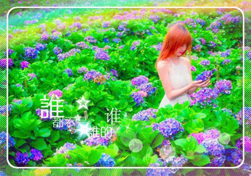 刘长福南宫琉璃全文免费阅读(穿进修仙界:我截胡了男主的女人小说)全文免费刘长福南宫琉璃读无弹窗大结局_(穿进修仙界:我截胡了男主的女人小说刘长福南宫琉璃)穿进修仙界:我截胡了男主的女人小说最新章节列表(刘长福南宫琉璃)