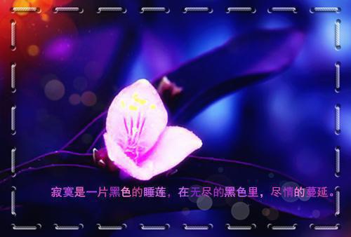 跌入泥潭免费阅读小说全文无弹窗全集免费（南笙厉行舟）全文免费阅读无弹窗大结局_(跌入泥潭免费阅读小说全文无弹窗)最新章节列表（南笙厉行舟）