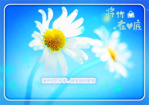 《佛子高不可攀，晚上却跪着求宠爱》【请阅小说】完结版全章节阅读
