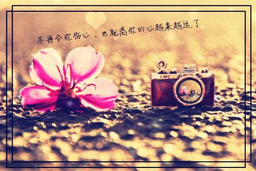 婚宴前一天，未婚妻要换老公小说独家推荐（何思源江倩穆夜）全文免费无弹窗在线阅读_婚宴前一天，未婚妻要换老公最新章节列表（何思源江倩穆夜）