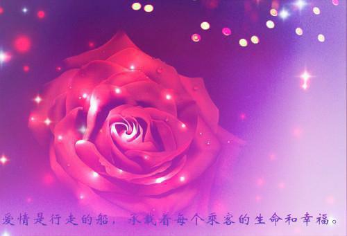 南笙陆珩小说热辣必读宝藏言情文推荐（南笙陆珩）全文免费阅读无弹窗大结局_(南笙陆珩小说)最新章节列表（南笙陆珩）