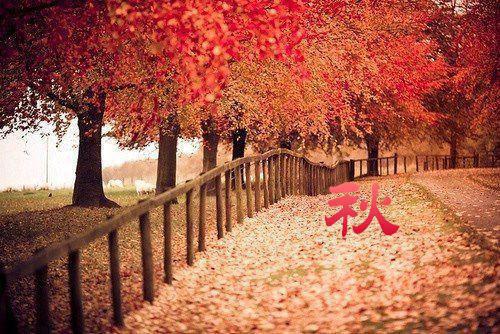 梁书安许意晚最新章节（许意晚梁书安）全文免费阅读无弹窗大结局_许意晚梁书安免费阅读（梁书安许意晚）