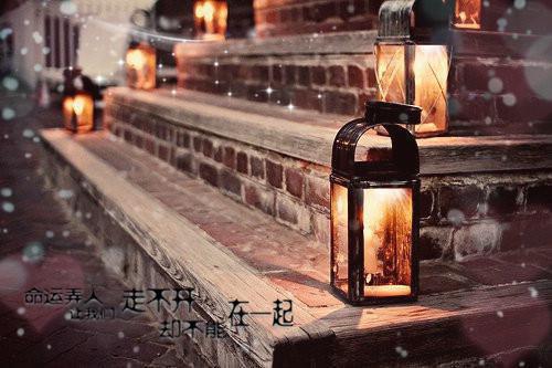 温贺朝千雪凰全文（温贺朝千雪凰全文）全文免费阅读无弹窗大结局_温贺朝千雪凰（温贺朝千雪凰）最新章节列表（温贺朝千雪凰）