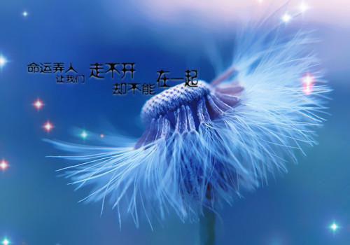 致命霸凌小说全文免费阅读是致命霸凌小说的小说（蒋黎）免费阅读_致命霸凌小说蒋黎小说免费致命霸凌小说（致命霸凌小说）