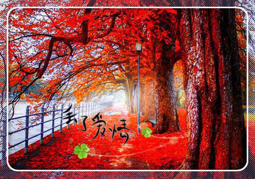 谢曦霍熠（谢曦霍熠）小说在线阅读完整版_谢曦霍熠免费章节阅读（谢曦霍熠）