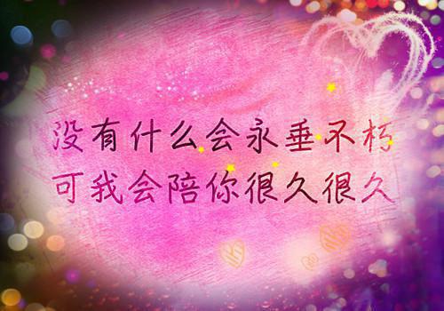 夏星絮裴司年（夏星絮裴司年）全文免费阅读无弹窗大结局_夏星絮裴司年(夏星絮裴司年免费阅读)（夏星絮裴司年）