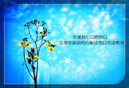 今日热读（沐颜何楚舟）何楚舟沐颜全集完整版已完结大结局_沐颜何楚舟最新热点全文在线阅读（何楚舟沐颜）