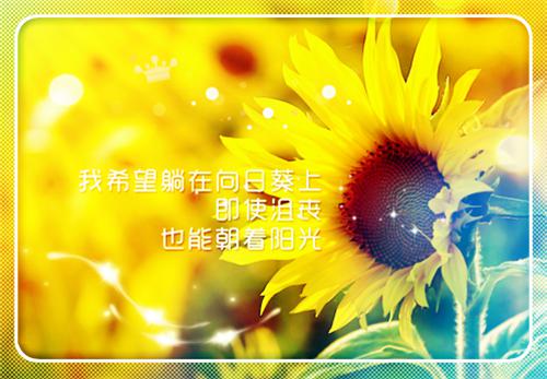 教师节的诗歌