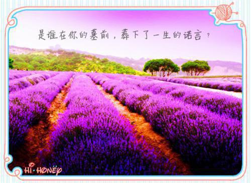 发现恶魔是网恋对象后她只想逃离小说完整（苏棉槿谢其昭txt）全文免费阅读无弹窗大结局_发现恶魔是网恋对象后她只想逃离最新章节列表（苏棉槿谢其昭）