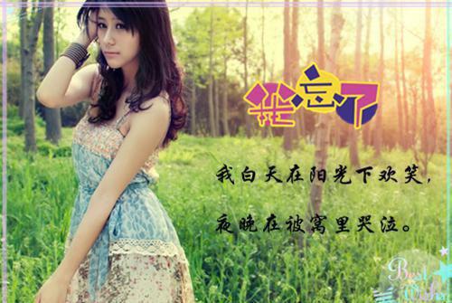 全文小说再见宋绩by佚名阅读