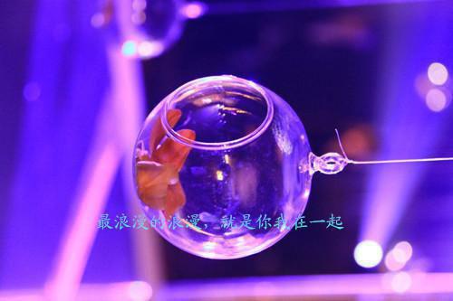 姜羽溪霍辰西小说在哪里可以看 姜羽溪霍辰西免费在线阅读