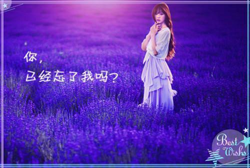温澜周呈欲小说（温澜周呈欲小说）全文免费阅读无弹窗大结局_温澜周呈欲小说最新章节列表（温澜周呈欲小说）