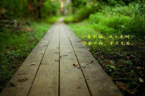 夏荨谢铮全文（谢铮夏荨）全本免费小说章节完整_夏荨谢铮最新章节免费阅读（谢铮夏荨）