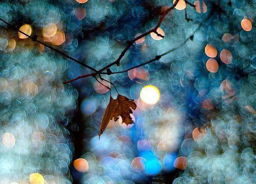 林佳慧程文峰全文免费阅读(林佳慧程文峰小说)全文免费阅读无弹窗大结局_(林佳慧程文峰林佳慧程文峰小说小说免费阅读)最新章节列表_(林佳慧程文峰)