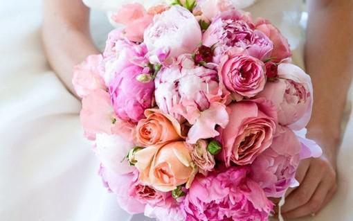 何皎皎裴玄胤小说目录 何皎皎裴玄胤完整免费版阅读