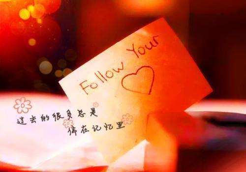 苏月肖寒（杀手重生,我的老爸是皇帝）全文免费阅读无弹窗大结局_（杀手重生,我的老爸是皇帝）苏月肖寒免费无弹窗最新章节列表（杀手重生,我的老爸是皇帝）