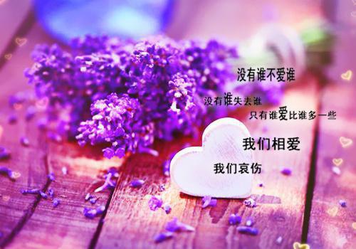 荣贵妃皇帝全文免费阅读（七彩皇姐:和亲爆杀小说）全文免费荣贵妃皇帝读无弹窗大结局_（荣贵妃皇帝全文免费荣贵妃皇帝读无弹窗）七彩皇姐:和亲爆杀小说最新章节列表（荣贵妃皇帝）