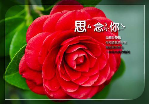 路悠言苏牧野小说书荒宝藏热文分享（路悠言苏牧野）全文免费阅读无弹窗大结局_路悠言苏牧野小说最新章节列表（路悠言苏牧野）