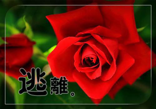 我妈是恋爱脑李舒书陈林海陈秋雪无弹窗小说全本阅读