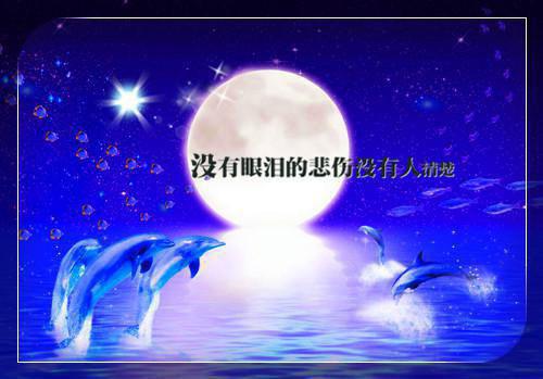 沈清周佳怡小说 沈清周佳怡完整版免费阅读