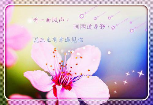言情全文小说被新帝废后，我带全家起兵造反废了新帝完结版精彩阅读