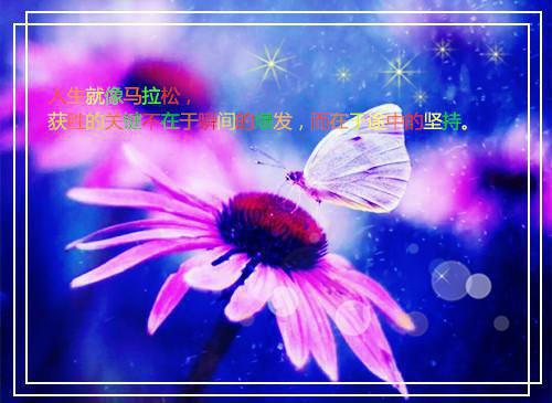 中班优秀教育随笔