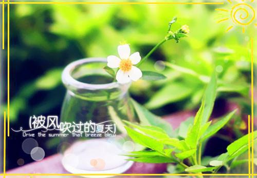 阿颖若风小说在线阅读 阿颖若风最新章节目录