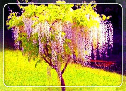乔汐絮裴旻行全文+番外裴旻行乔汐絮完整版小说全文章节app内免费阅读